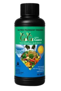 Produk GeGe Cuaca