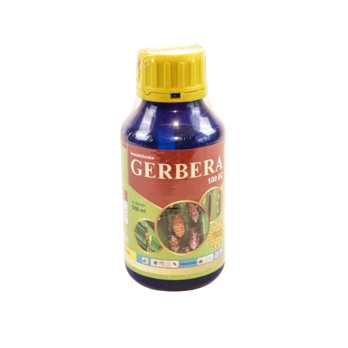 Gerbera 100EC